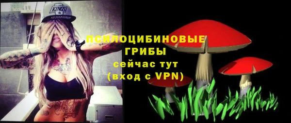 ALPHA-PVP Богородицк