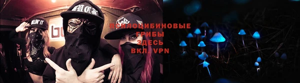ALPHA-PVP Богородицк