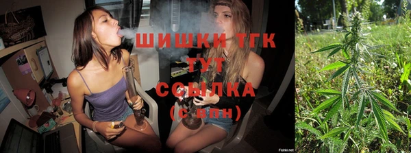 ПСИЛОЦИБИНОВЫЕ ГРИБЫ Семёнов