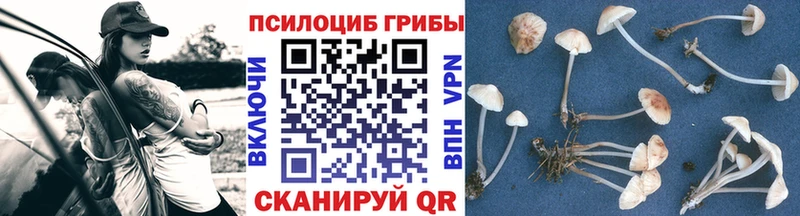 сайты даркнета как зайти  Горячеводский  Галлюциногенные грибы ЛСД 